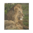 Suche nach leo notizblock Afrika