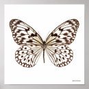Suche nach kastanie poster Natur