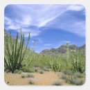 Suche nach organ aufkleber Arizona