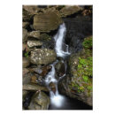 Suche nach el yunque poster Rico