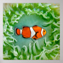 Suche nach nemo poster Ozean