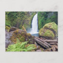 Suche nach columbia river Umwelt
