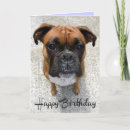 Suche nach birthday boxer karten Jungtier