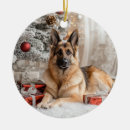 Suche nach german ornamente Haustier