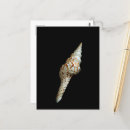 Suche nach spiralen postkarten Natur