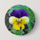 Suche nach gelbe blüten buttons Sommer