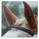 Suche nach mahn fliesen Pferde