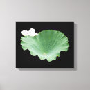 Suche nach lotus leinwandbilder Wasserlilie