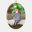 Suche nach specht ornamente Weihnachten