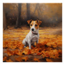 Suche nach jack russell poster Haustier