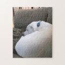 Suche nach friedlich puzzle Ruhe