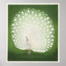 Suche nach pfau poster Antik