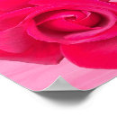 Suche nach romantische rote rosen poster Für sie