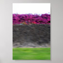 Suche nach kona poster Hawaii