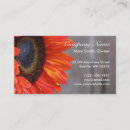 Suche nach makro visitenkarten Hübsch