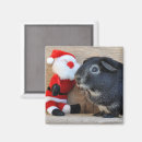 Suche nach pig magnete Guinea
