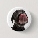 Suche nach nase buttons Welpe