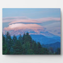 Suche nach sommer fotoplatten Landschaft