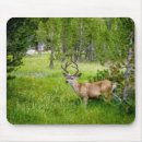 Suche nach wiesen mousepads Foto