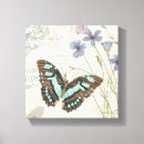 Suche nach blaue schmetterlinge leinwandbilder Insekten