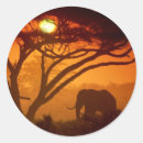 Suche nach elefant silhouette aufkleber Sonnenuntergang