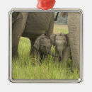Suche nach indischer elefant ornamente Asiatisch