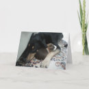 Suche nach niedliches schwein karten Freunde