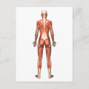 Suche nach physiologie postkarten Muskeln