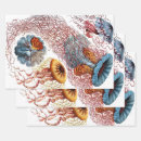 Suche nach tentakel geschenkpapier Gelee