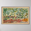 Suche nach ingwer kunst Pflanze