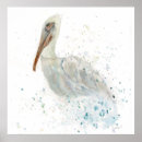 Suche nach pelican poster Pelikarkunst
