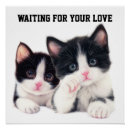 Suche nach tierrettungs poster Haustiere