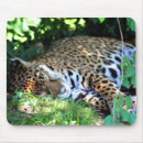 Suche nach große katzen mousepads Tierwelt