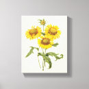 Suche nach vintage sonnenblume leinwandbilder Botanisch