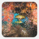 Suche nach unterwasser aufkleber Nautisch