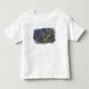 Suche nach jacaranda tshirts Tourismus