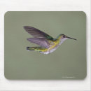 Suche nach costa mousepads Fotografie