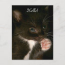 Suche nach smoking katze poster Schwarz