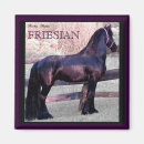 Suche nach pferdemagnet Stallion