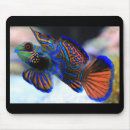 Suche nach mandarine mousepads Computer