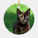 Suche nach farbige ornamente Braun