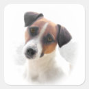 Suche nach jack russells aufkleber Haustier