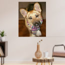 Suche nach polizeihund poster Haustier