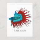 Suche nach betta fische postkarten Bettfisch