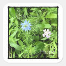 Suche nach large aufkleber Blume