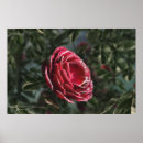 Suche nach rosa diamanten poster Glitzer