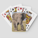 Suche nach wildlife spielkarten Safari