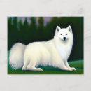 Suche nach eskimo poster Tier