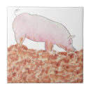 Suche nach rosa schweine fliesen Niedlich