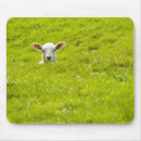 Suche nach landwirtschaft mousepads Schafe